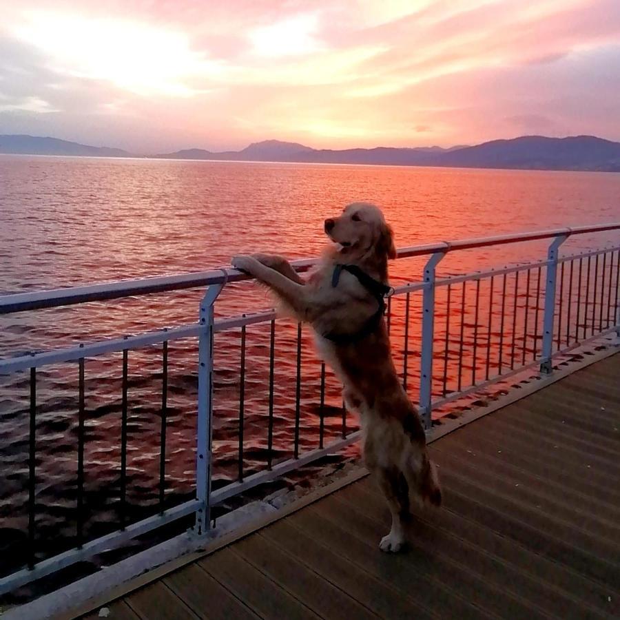 Hotel Mudanya Kültér fotó